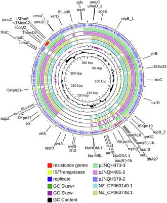 Characterization of IncHI1B Plasmids Encoding Efflux Pump TmexCD2-ToprJ2 in Carbapenem-Resistant Klebsiella variicola, Klebsiella quasipneumoniae, and <mark class="highlighted">Klebsiella michiganensis</mark> Strains